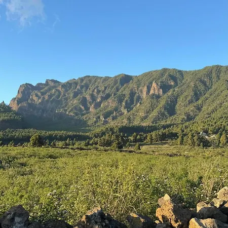 Gacelita El Paso